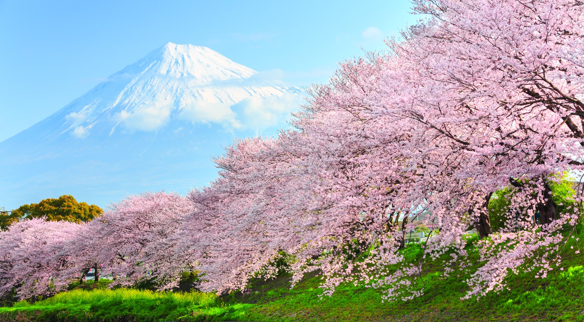 Mount Fuji