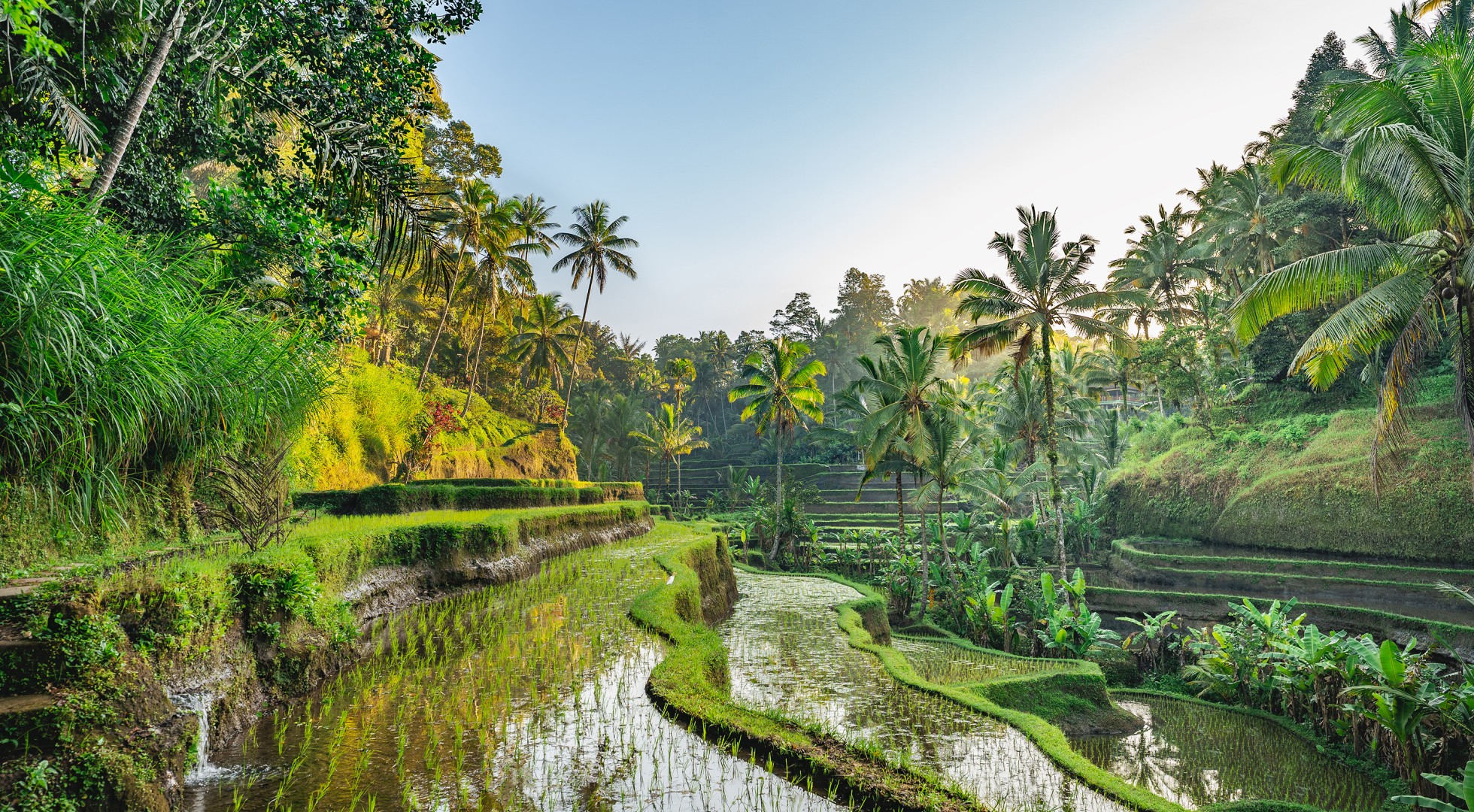 Bali