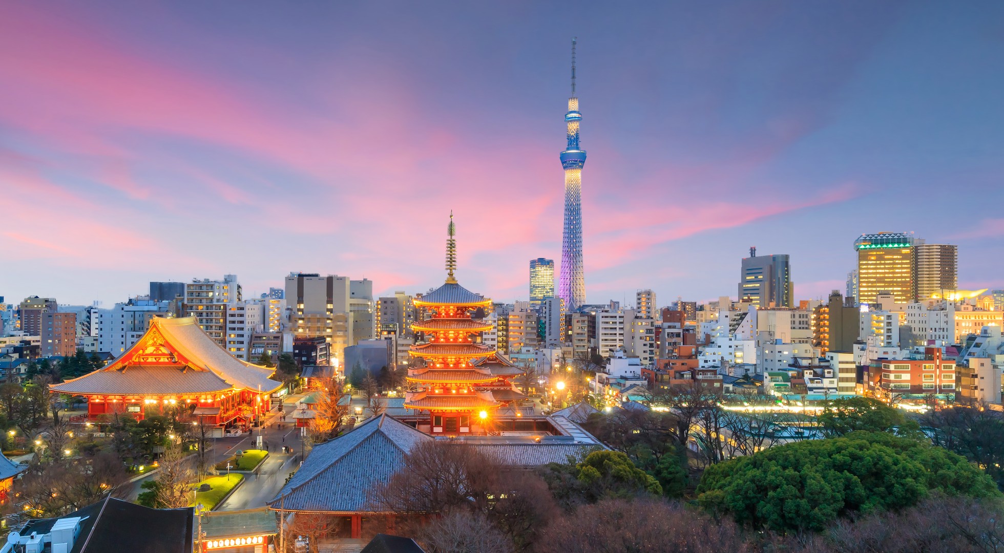 Cruise Japan at night
