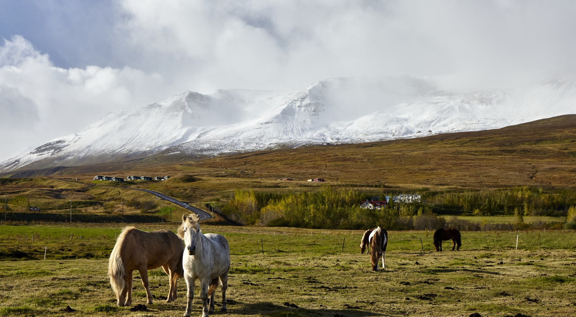 Akureyr