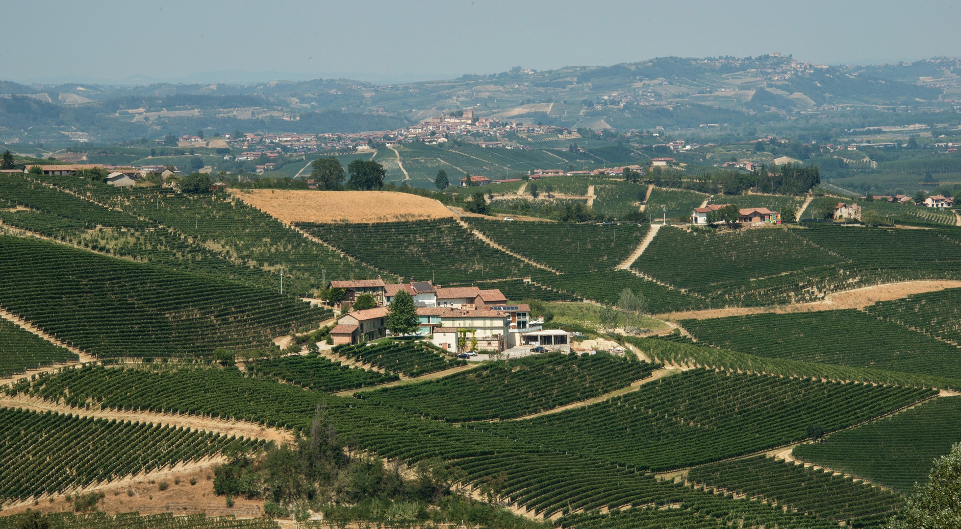 Piedmont panorama