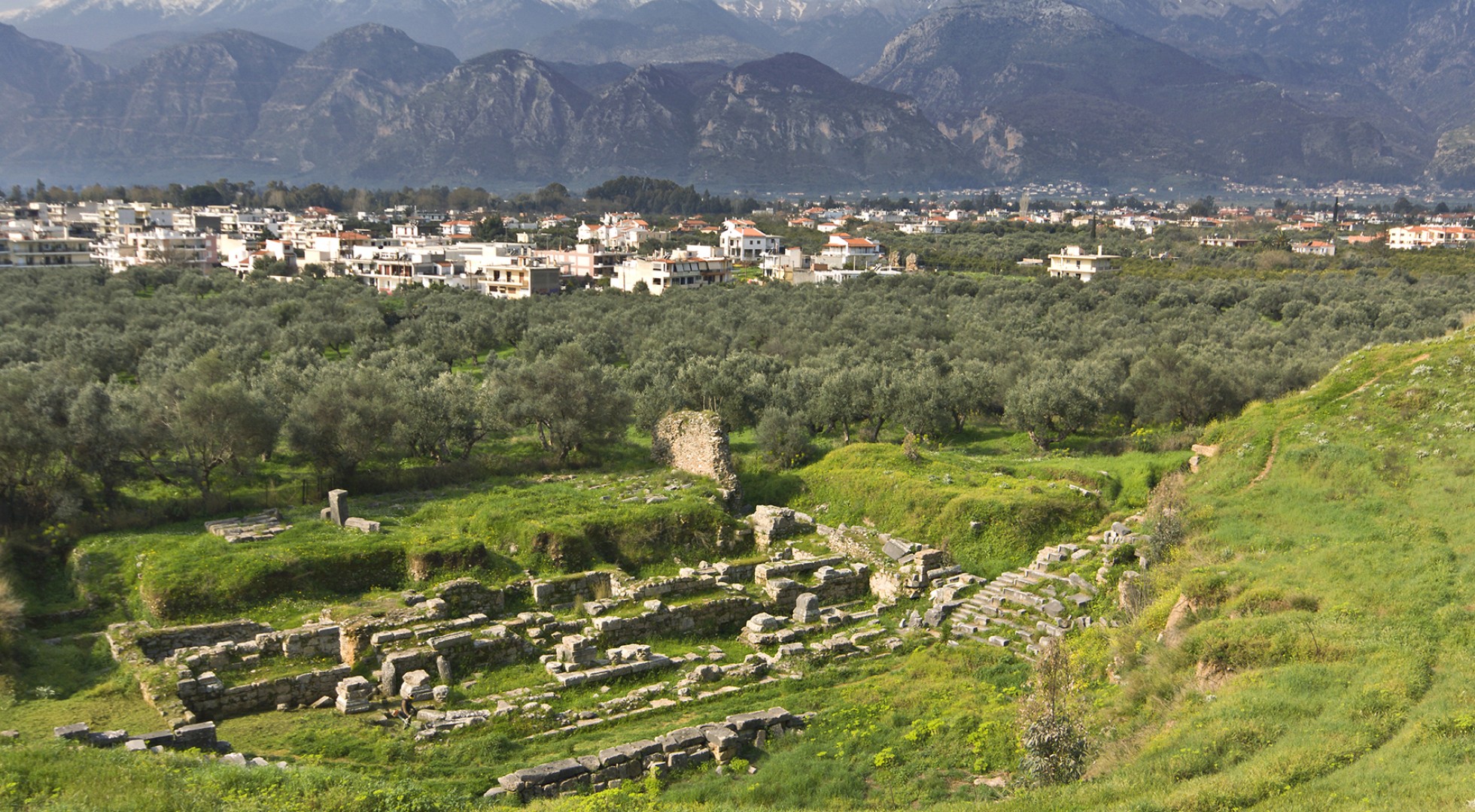Sparta
