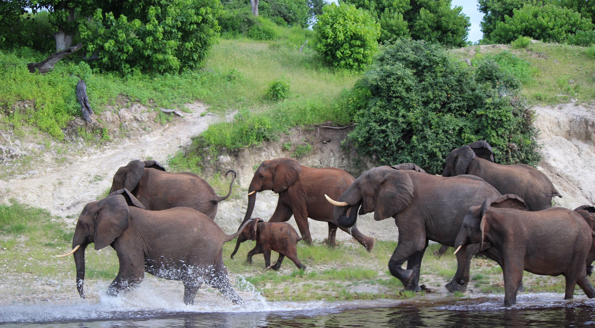 Chobe 2