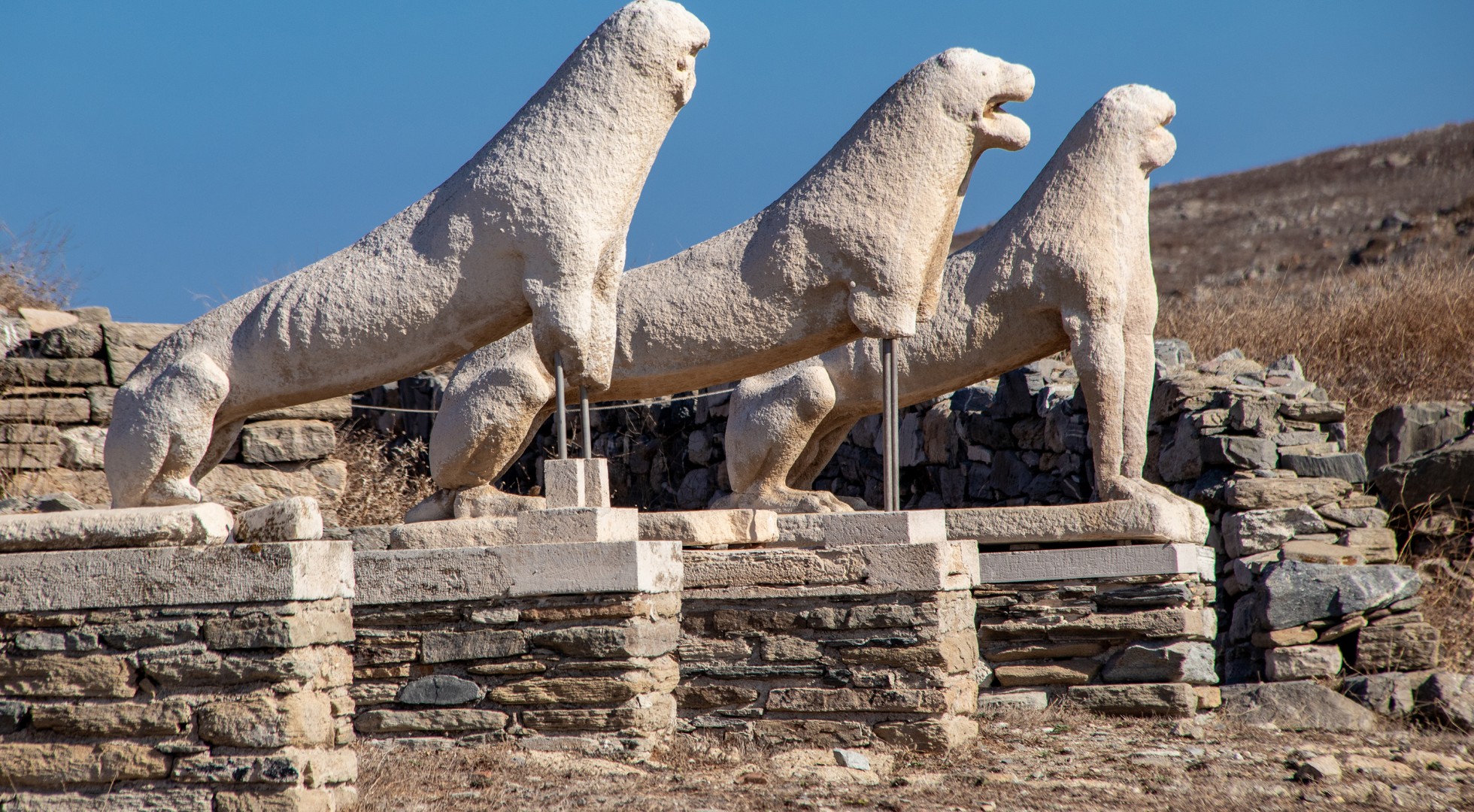 Delos Lions