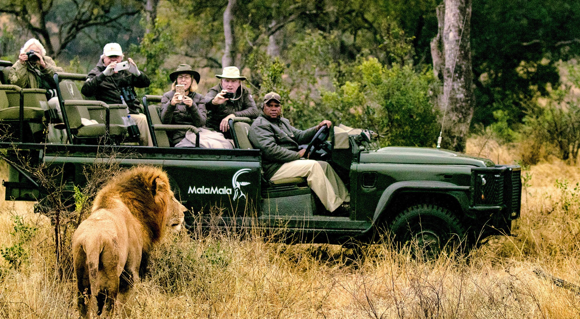 Jeep lion safari