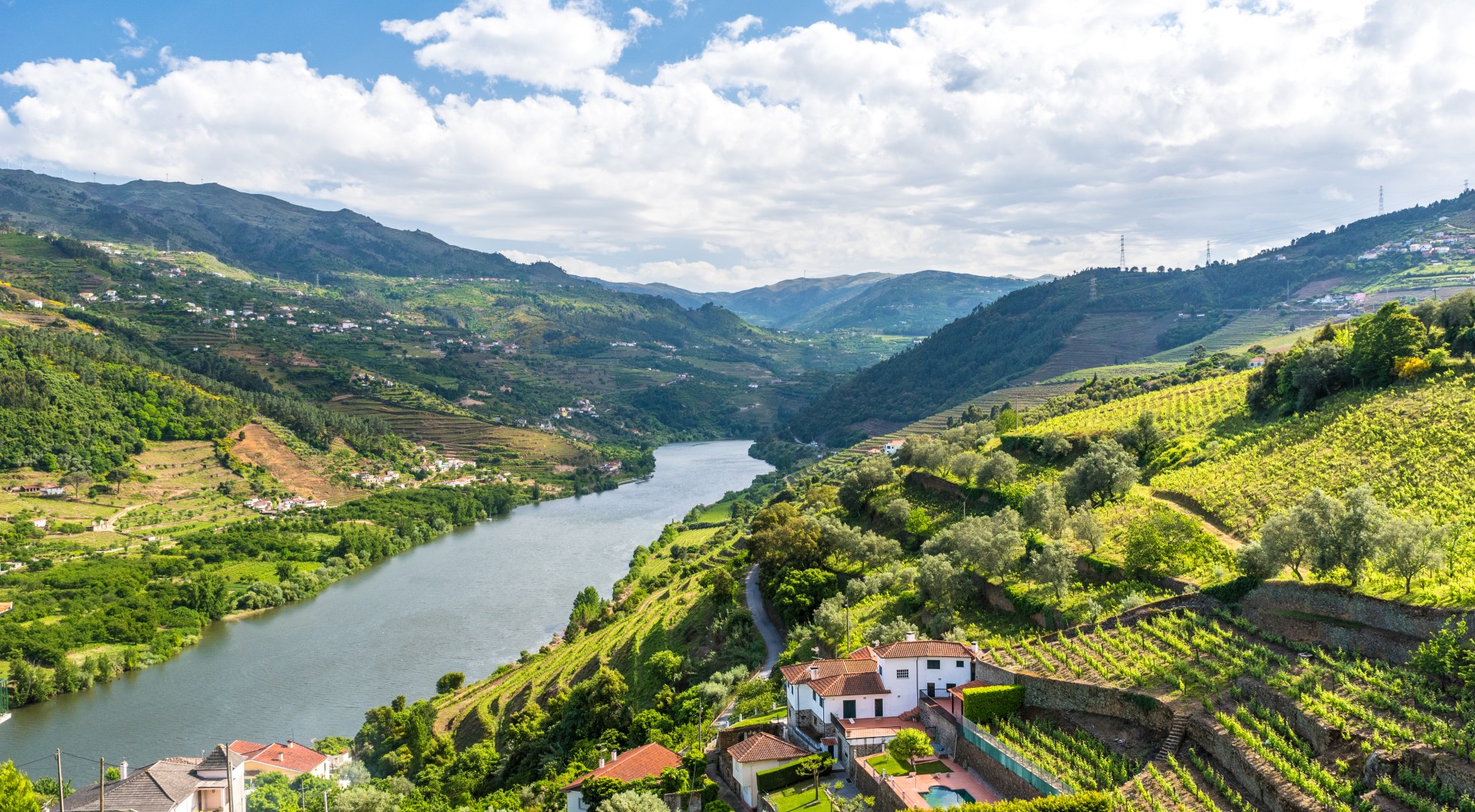 lush river valley
