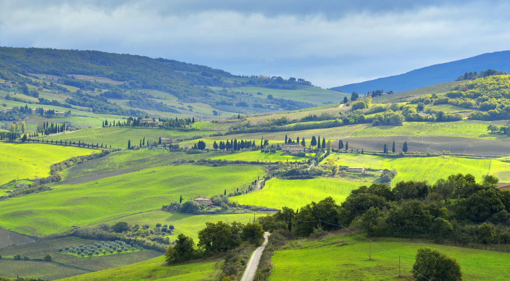 Landscape