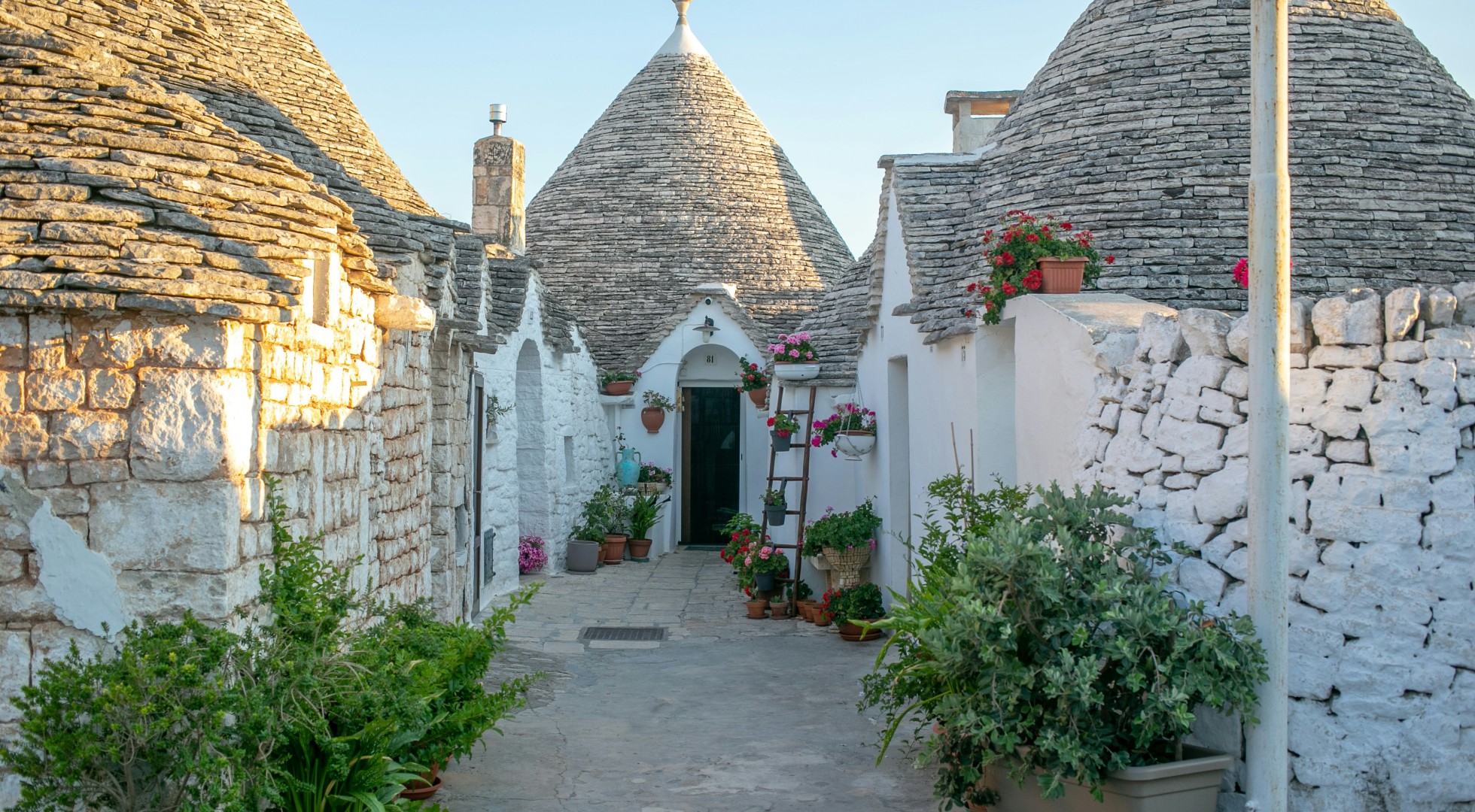 Alberobello's medieval white washed houses 