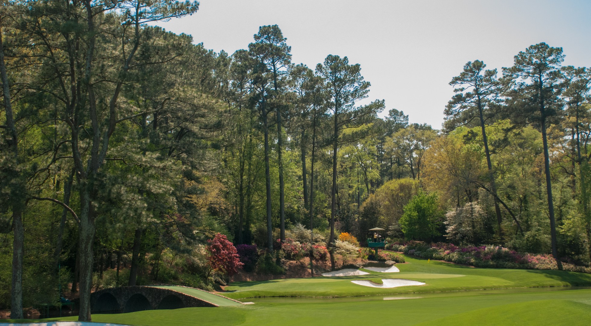 The green at Augusta National Golf Club