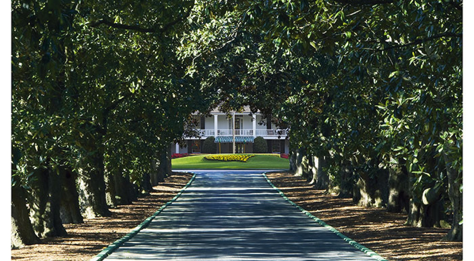 Magnolia Lane