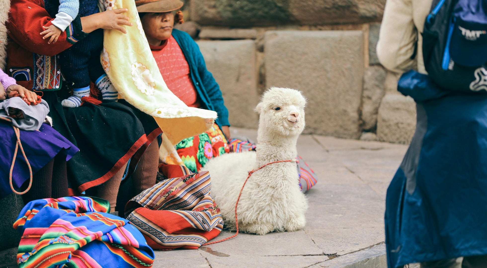 wool market