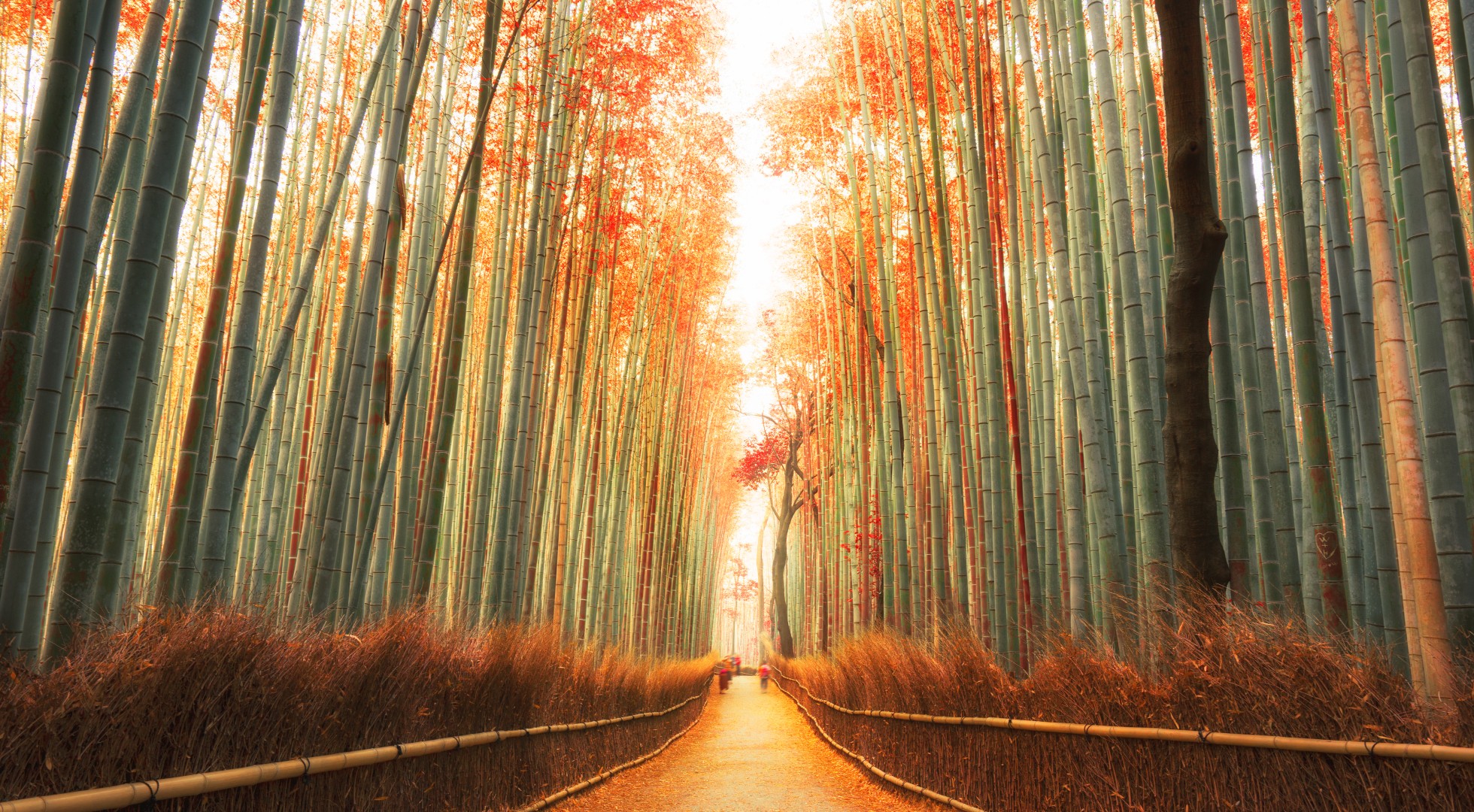 Kyoto