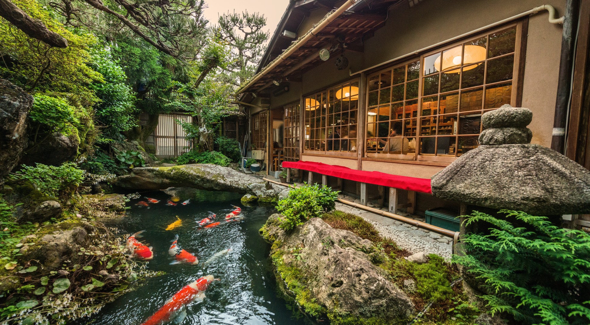 koi pond