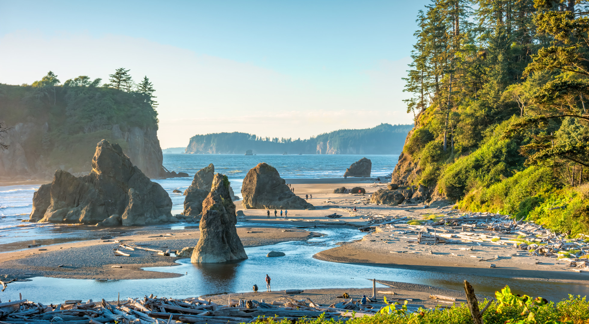 Cruise the Puget Sound & San Juan Islands | Flying Longhorns