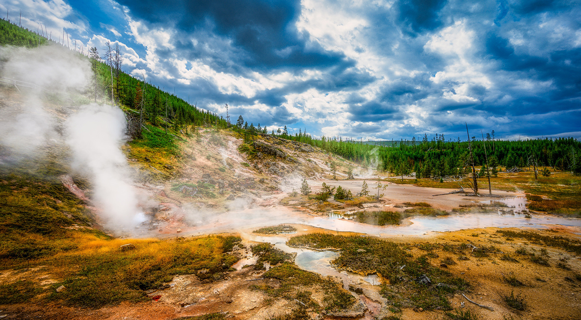 Yellowstone