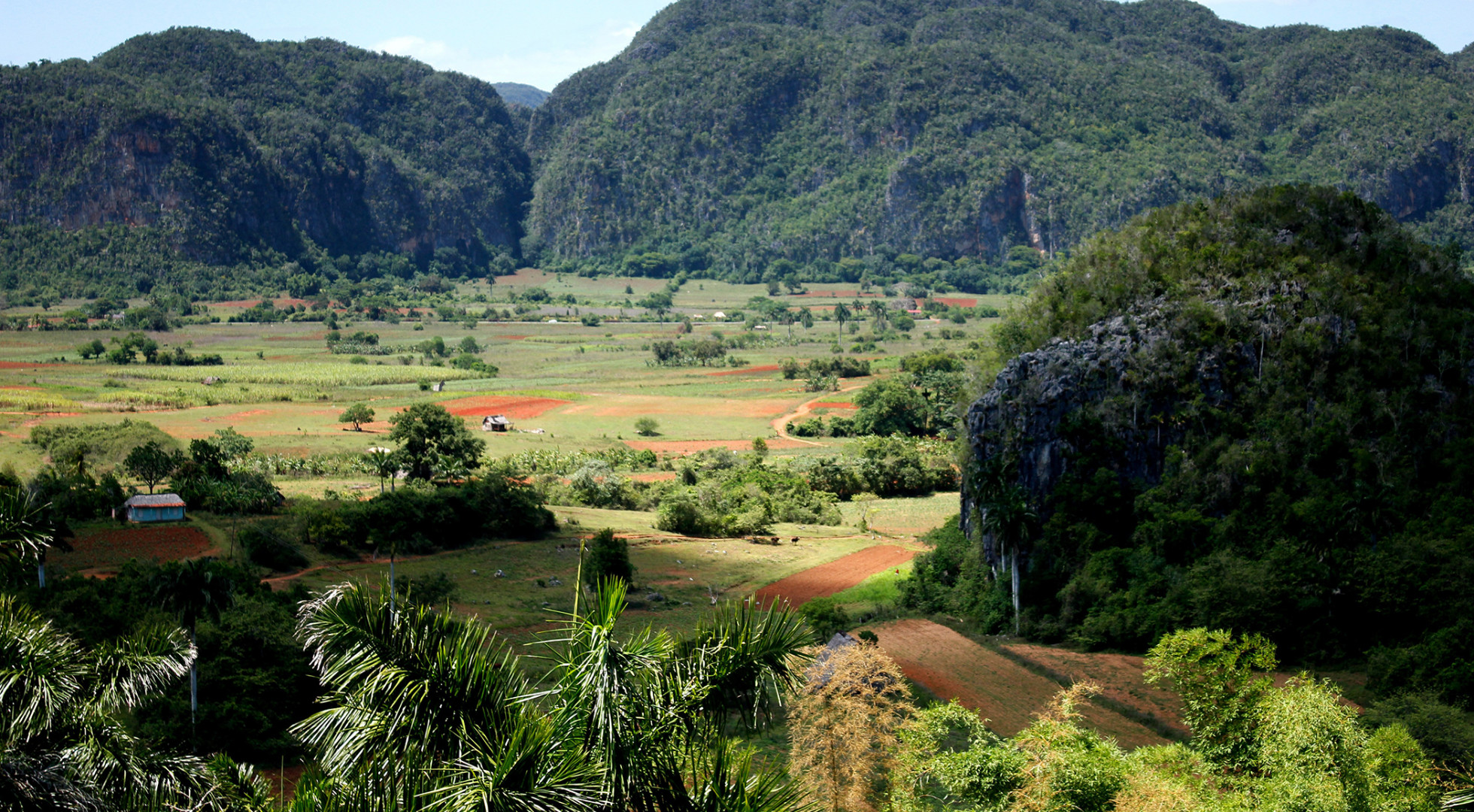 Vinales