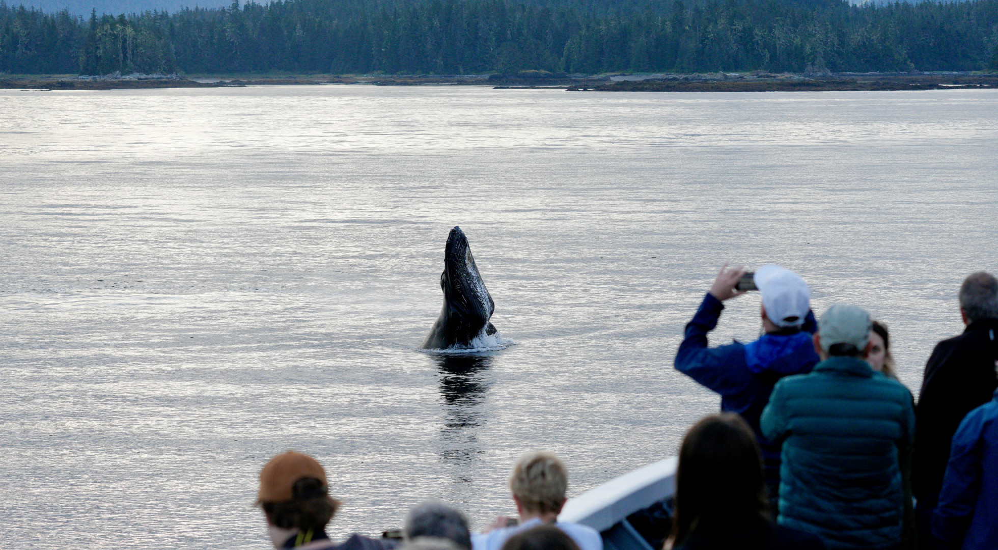 Ship NG Quest Exterior