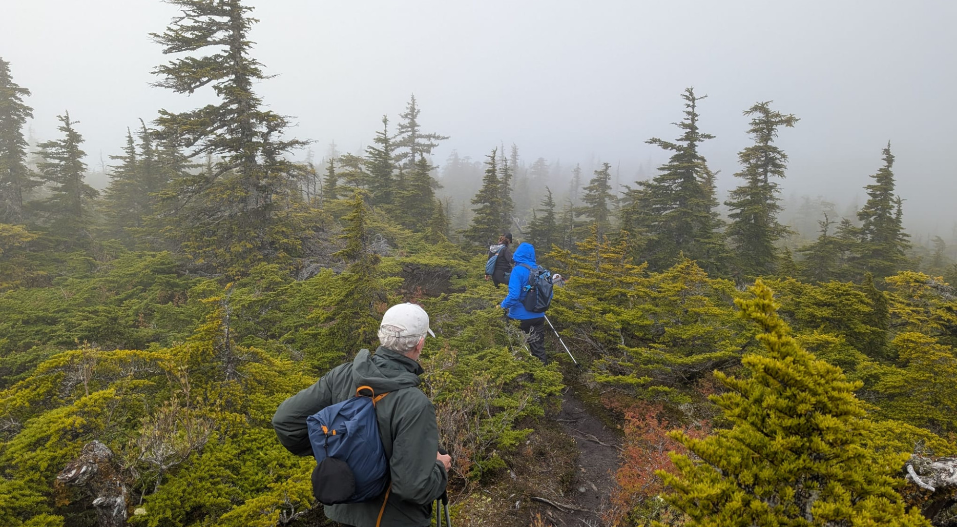 Alaska Haines Mt. Riley