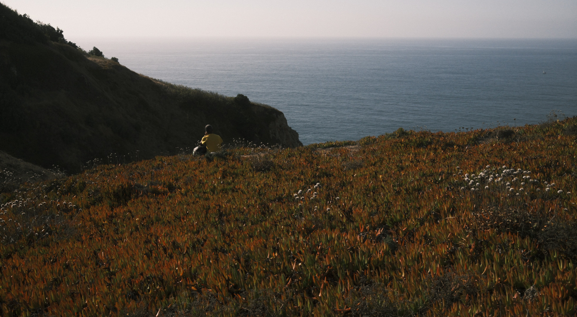 Camino Hiking