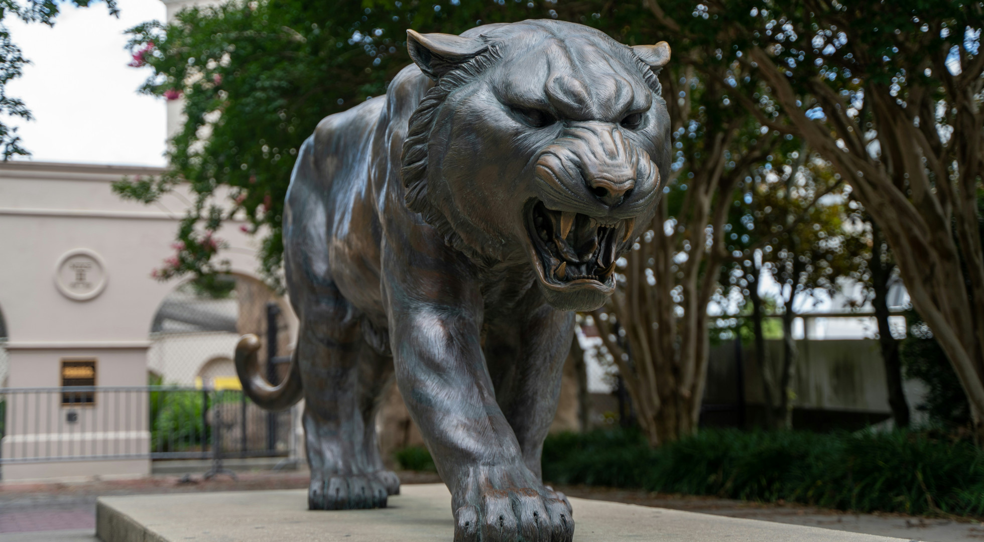 On campus at LSU