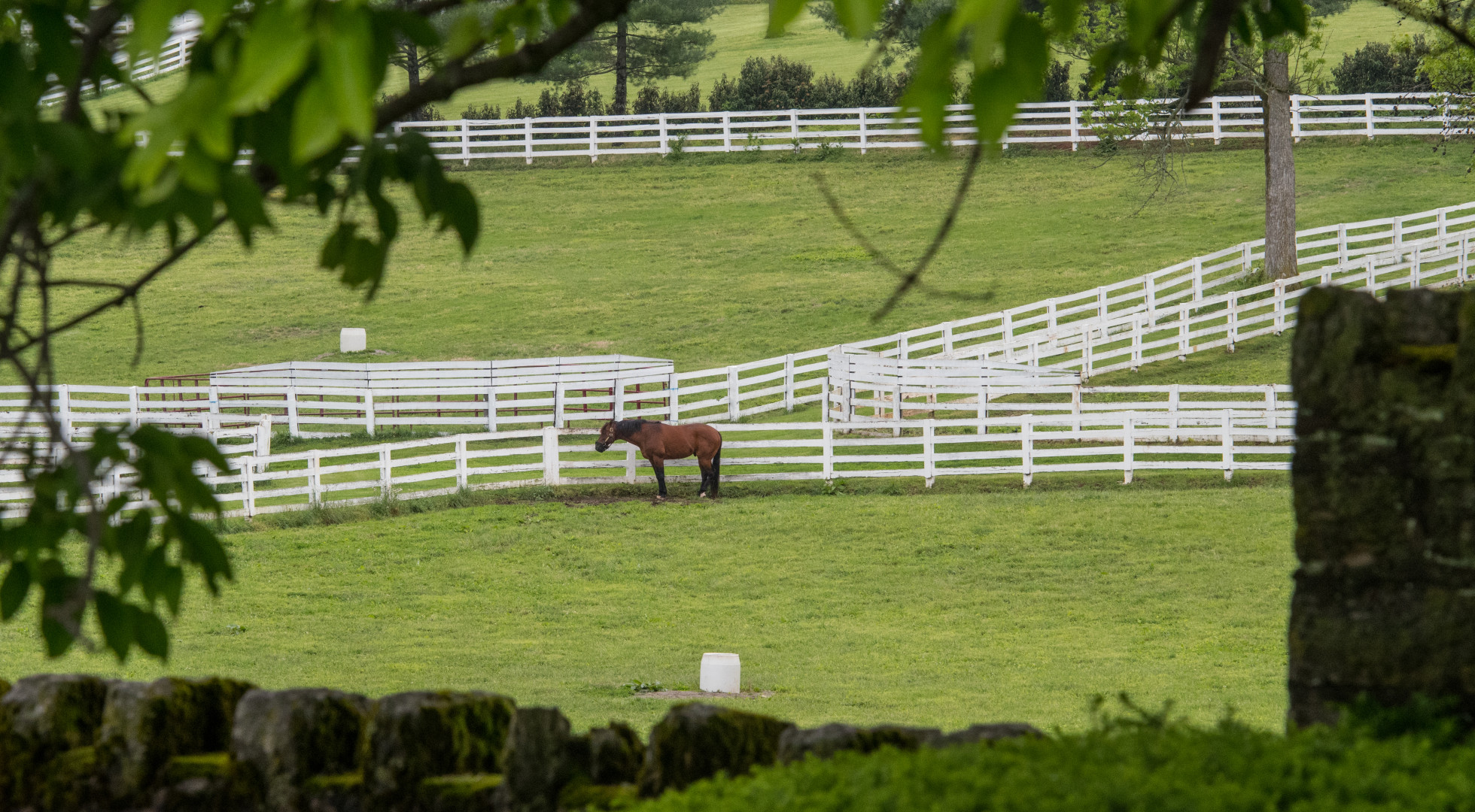 Kentucky Derby
