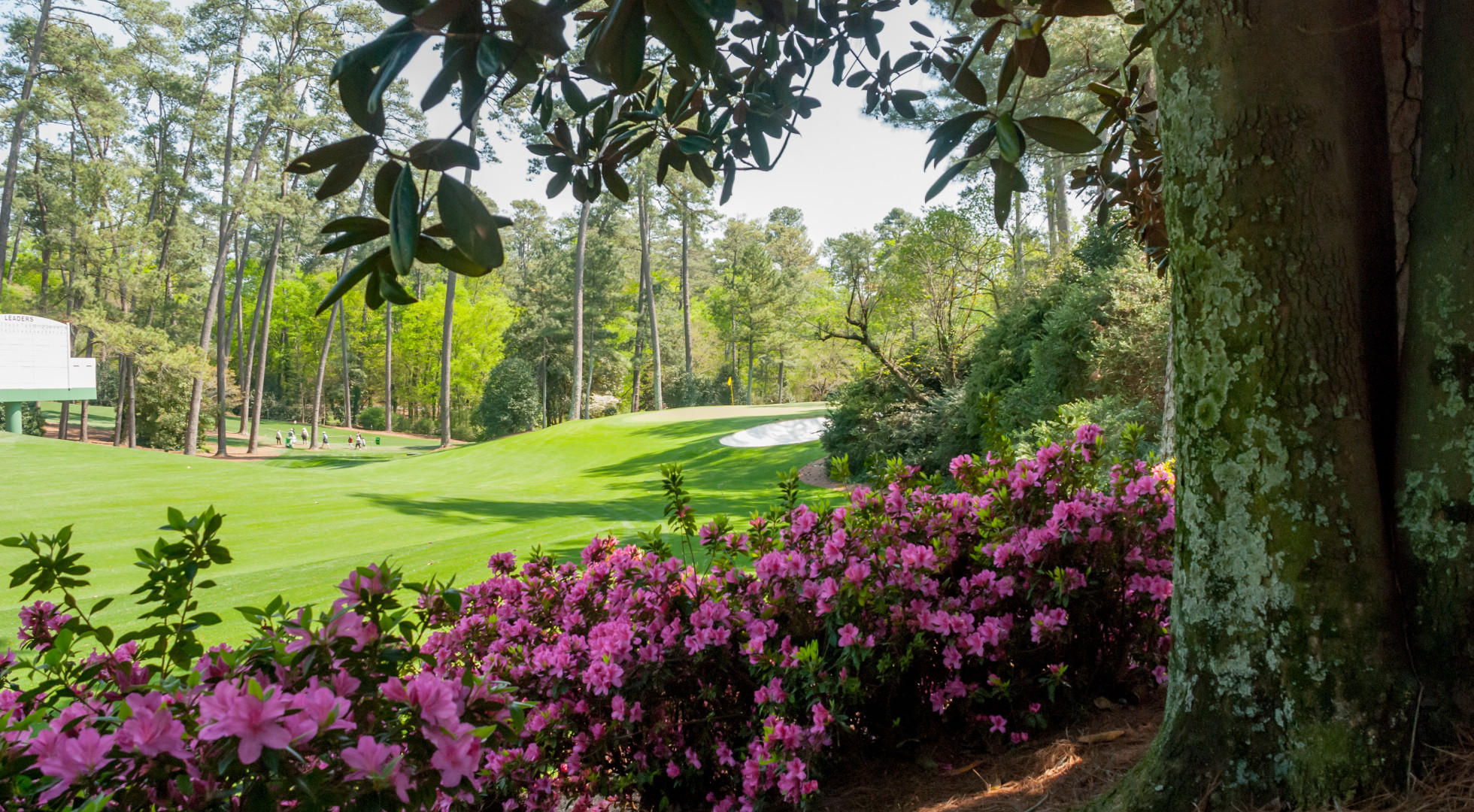 Masters Augusta