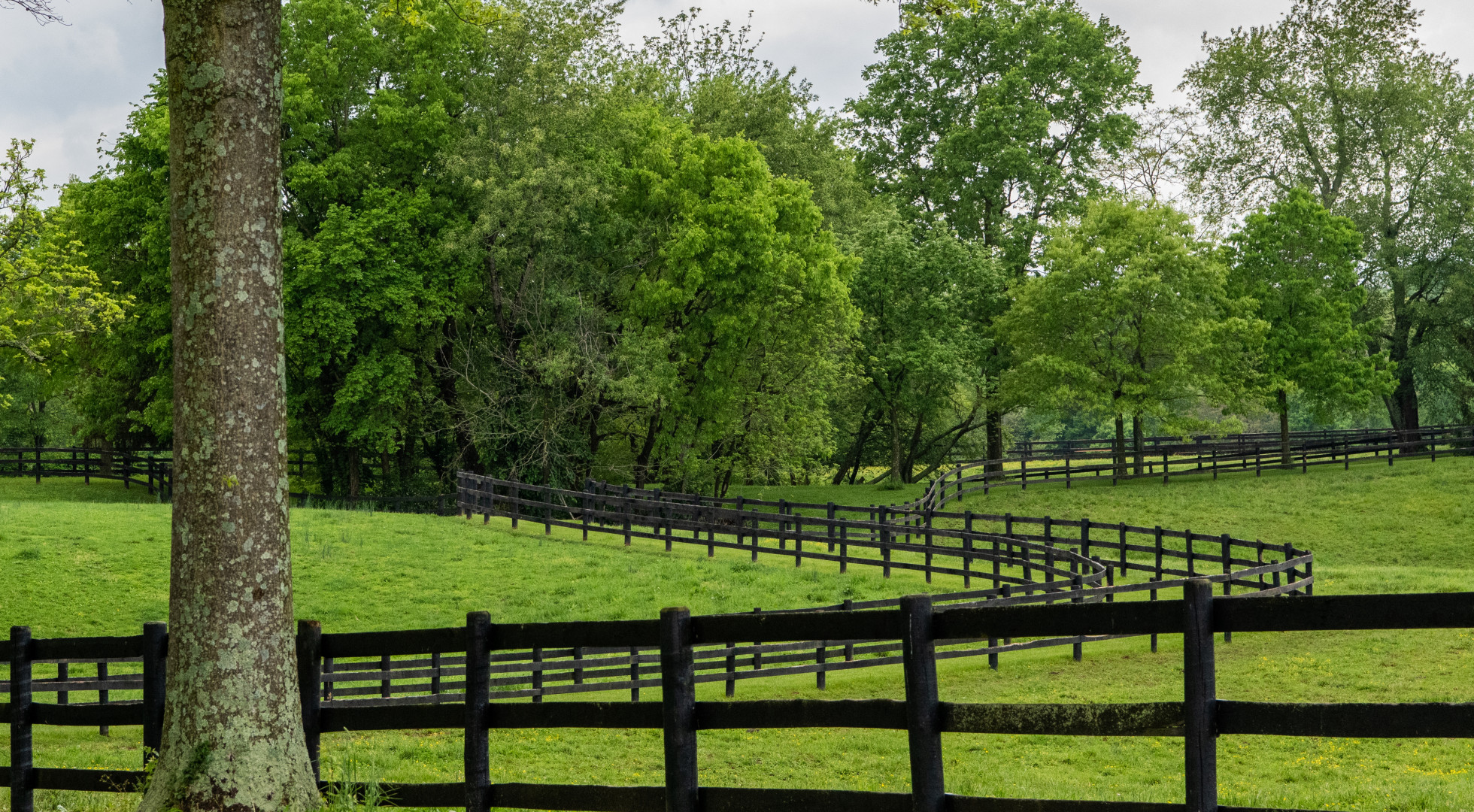 Kentucky Derby