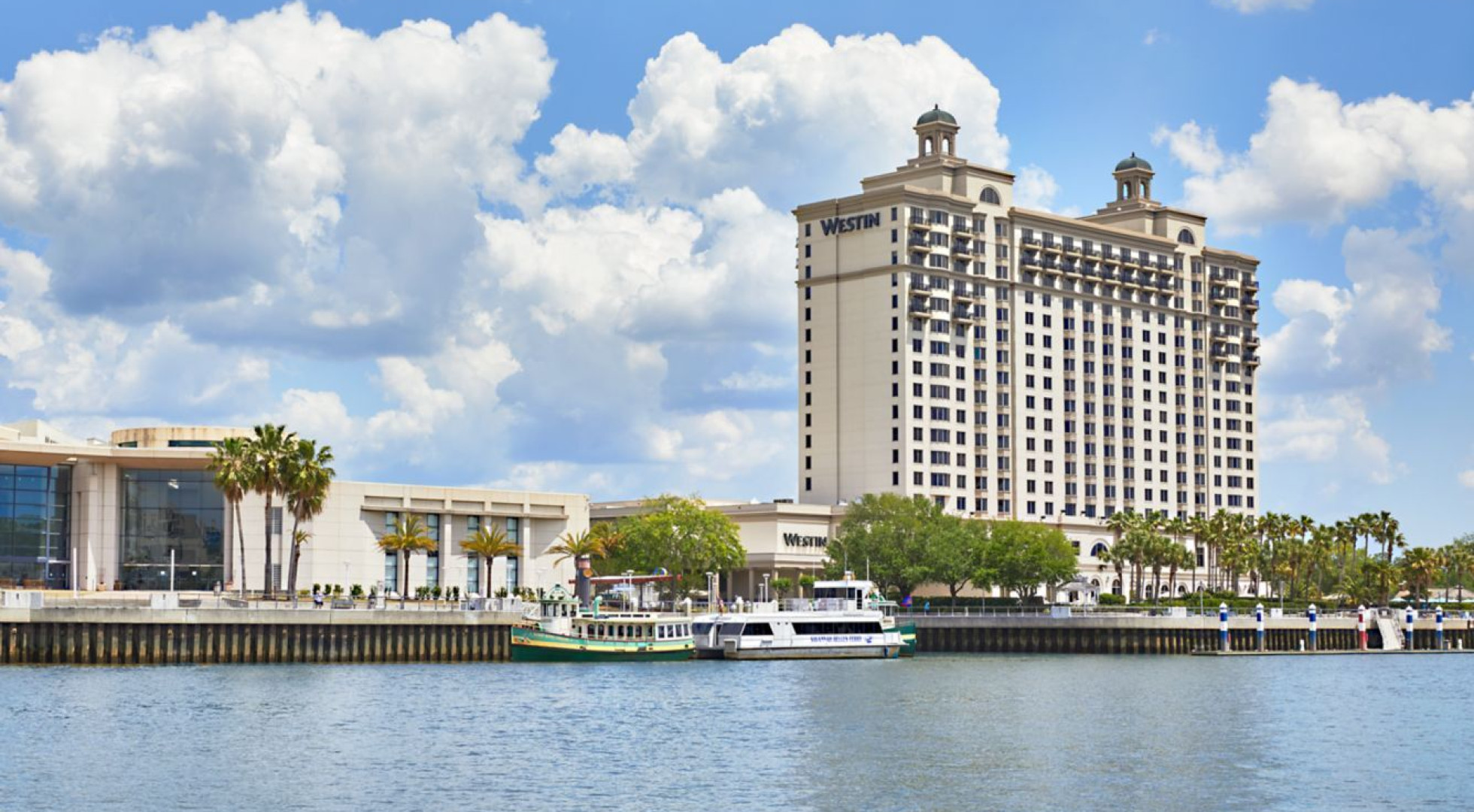 Masters Savannah