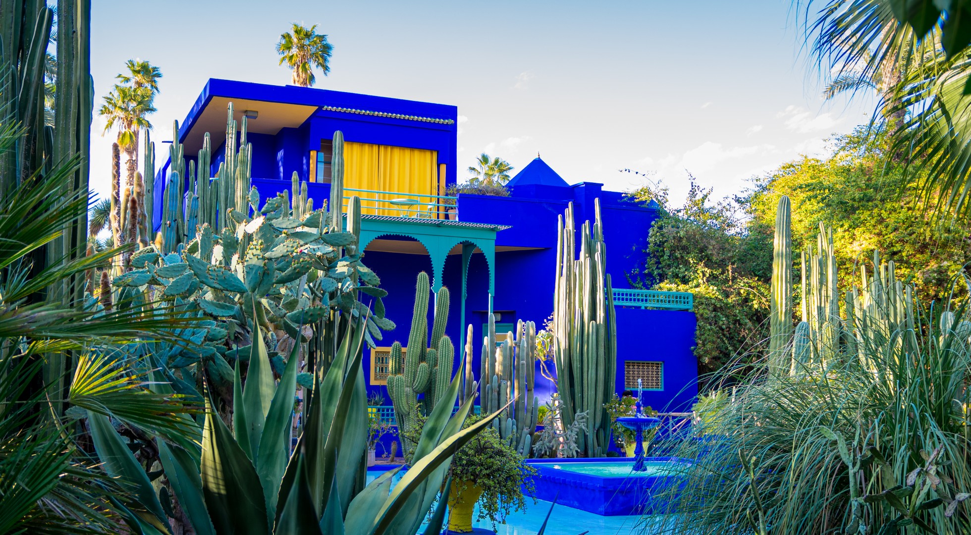 Vivid,Blue,Building,And,Garden,Of,Captus,And,Exotic,Plants.