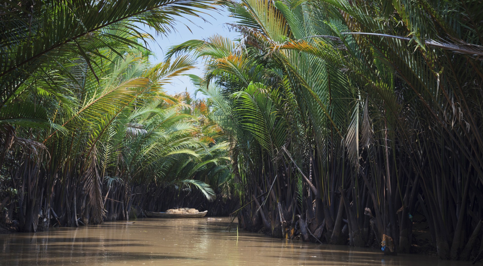 Vietnam, Mekong Delta