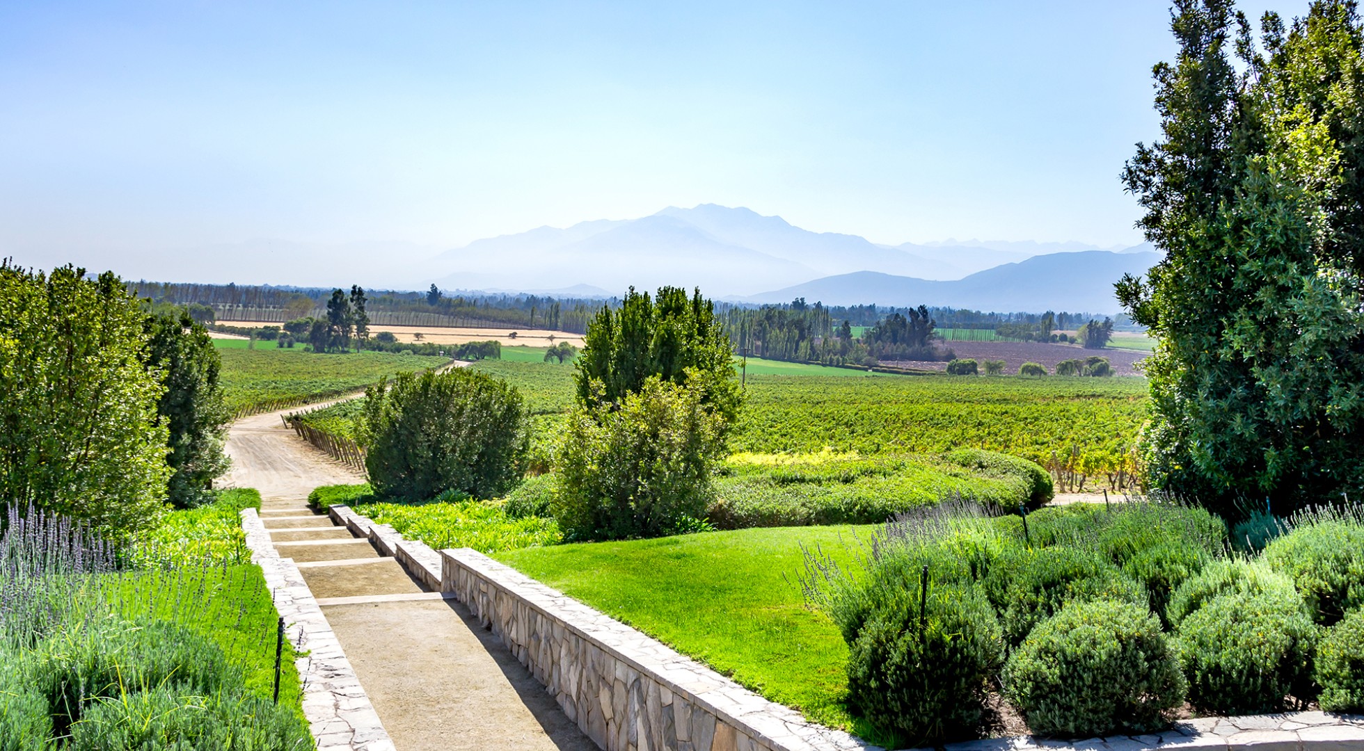 Chilean,Vineyards,In,Maipo,Valley,,,Close,To,The,Capital