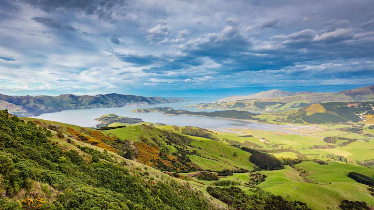 Rolling Landscape Lyttelton Omahu Bush Reserve Christchurch New Zealand