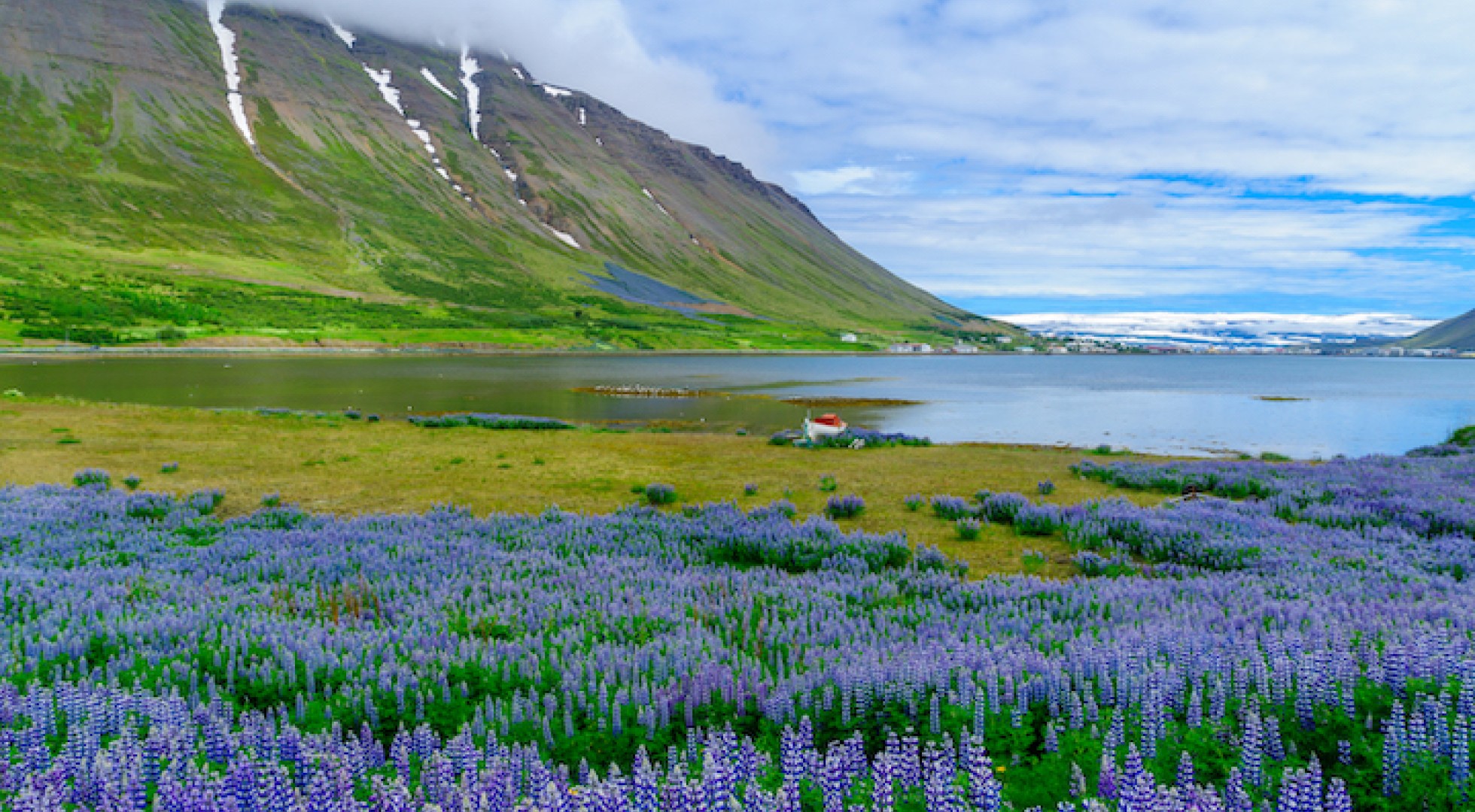 View of Isafjordur town
