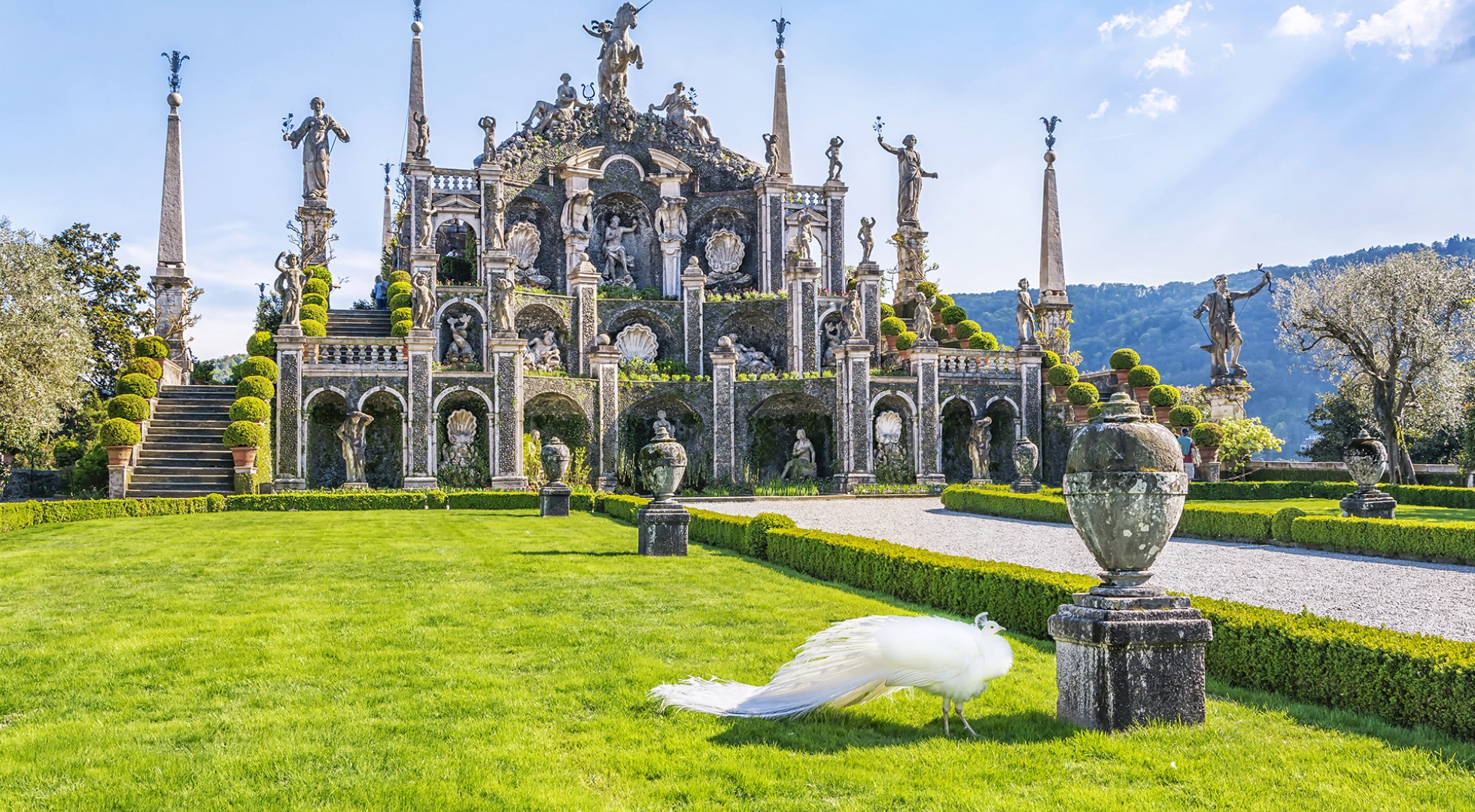 Beautiful,Isola,Bella,Island,With,Flower,Garden,,White,Peacocks,And