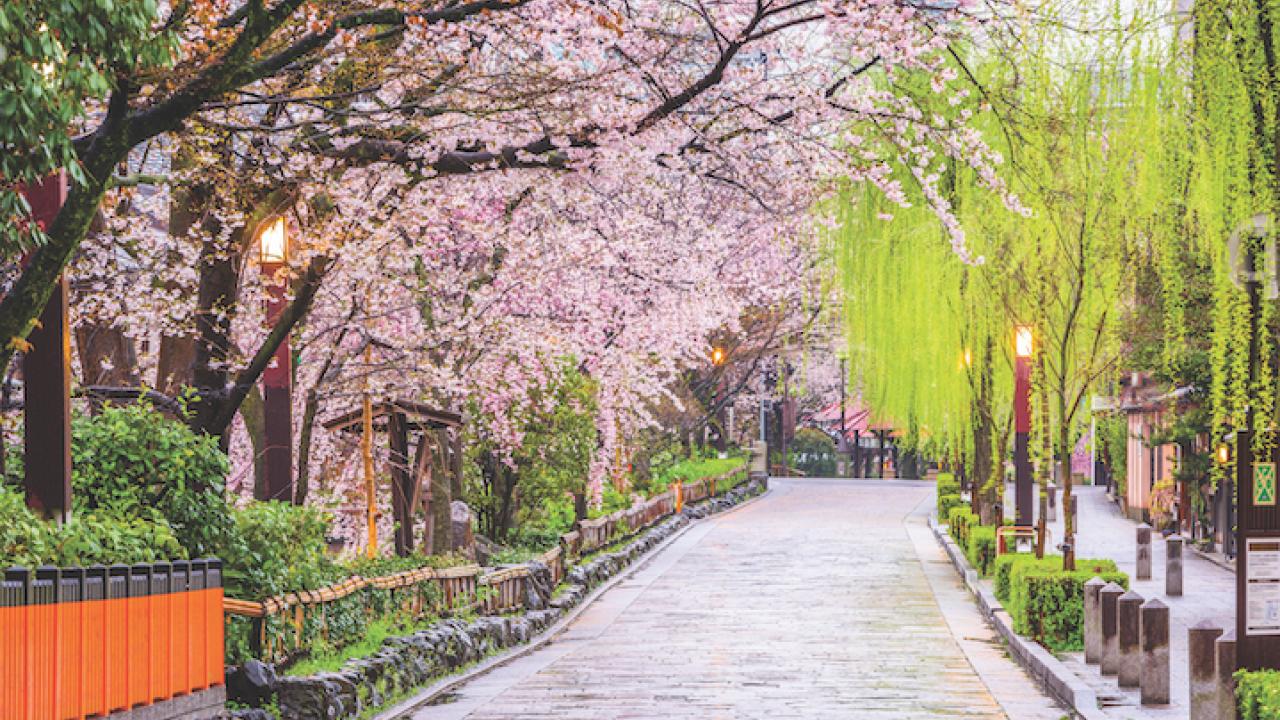 Kyoto in Spring