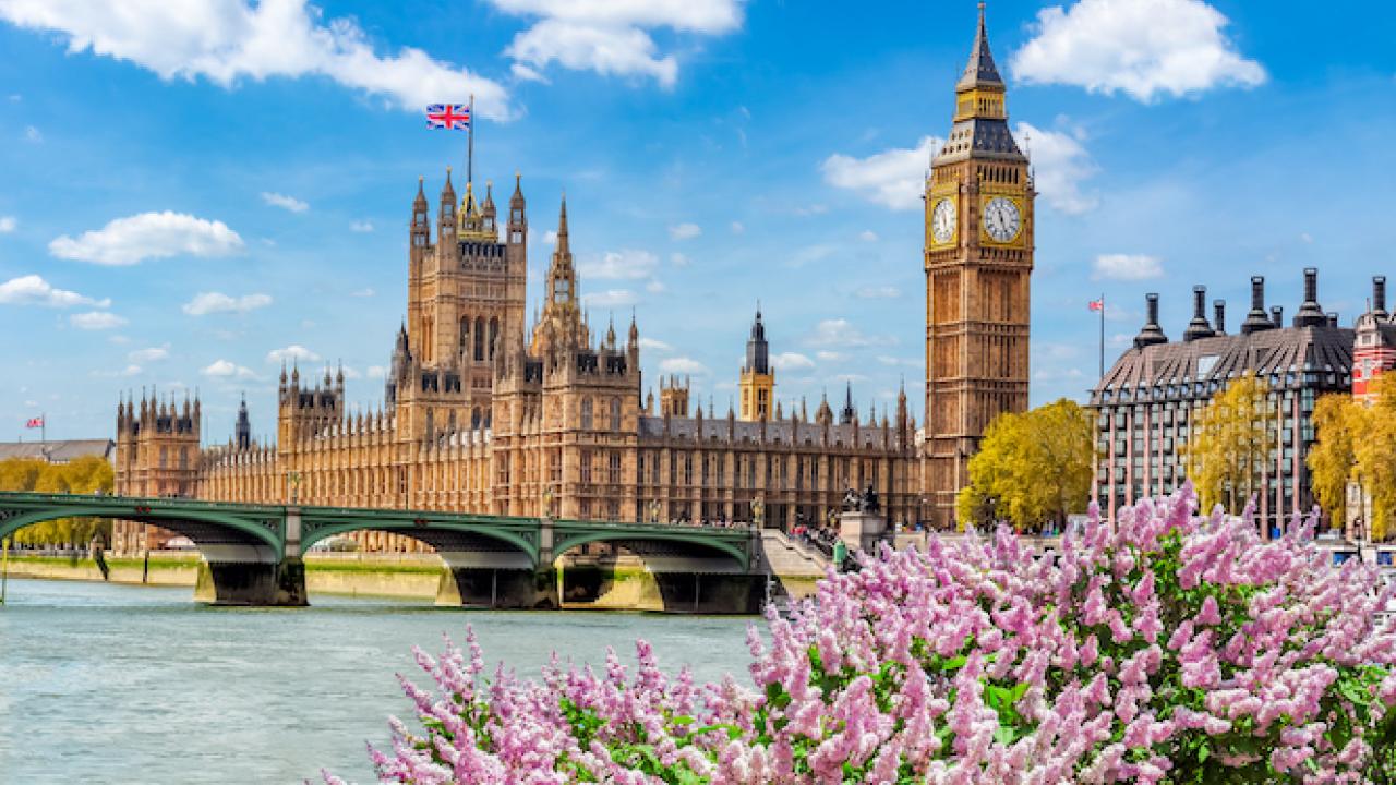 Blooming tree in spring in Hyde park, London, UK