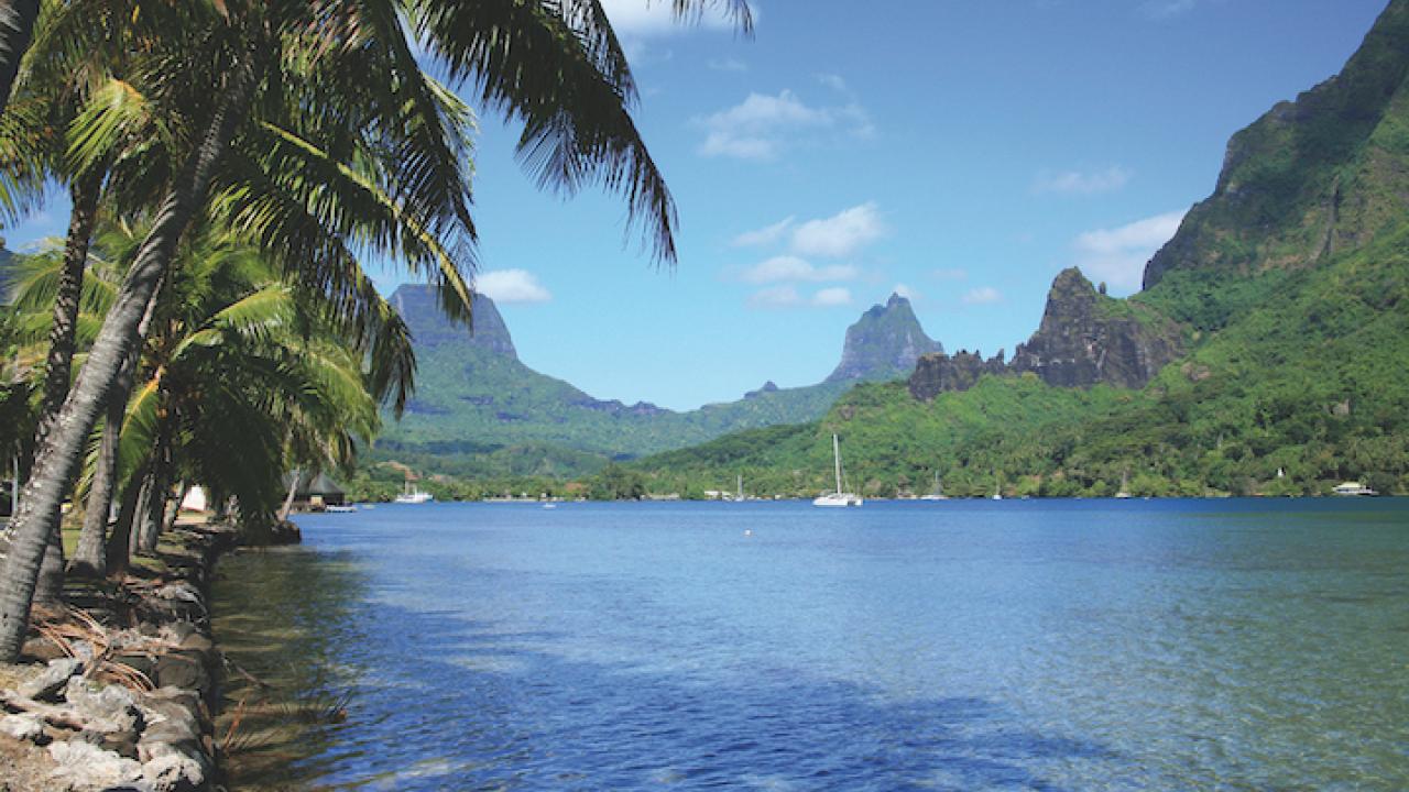 Moorea1 NAU250215