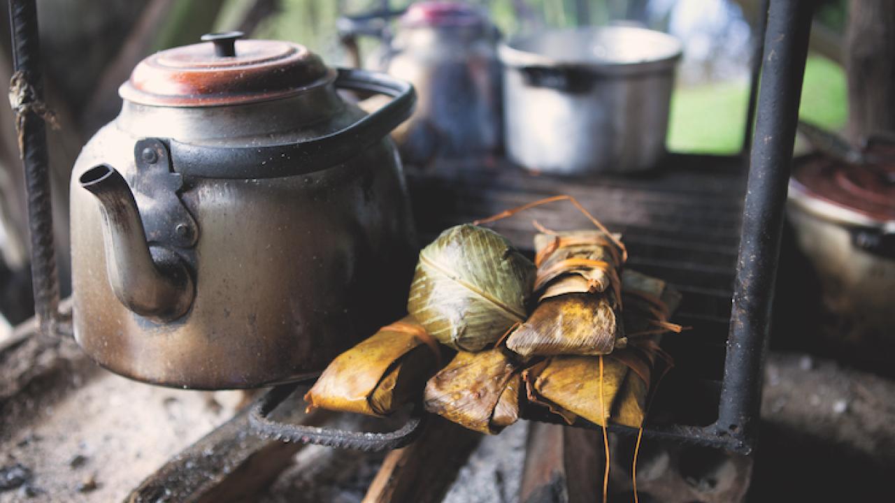 Camp fire cooking