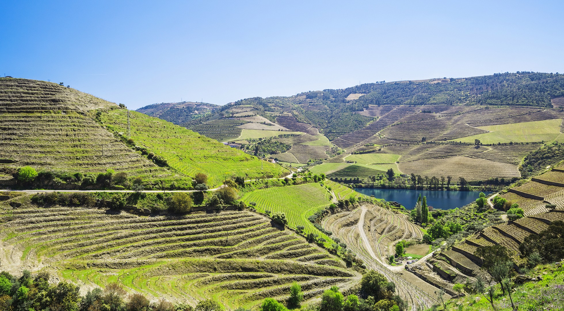 Douro,Valley.,Vineyards,And,Landscape,Near,Pinhao,Town,,Portugal