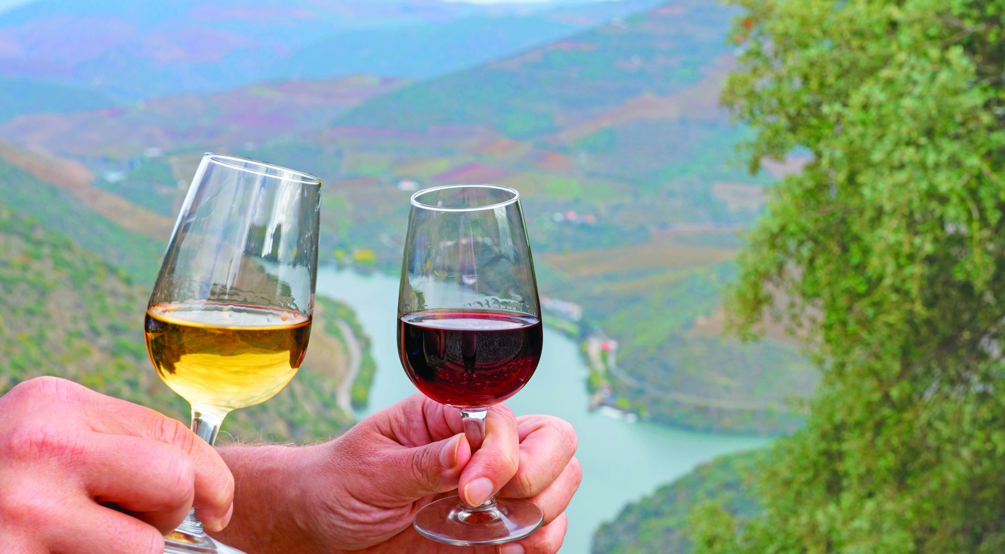 Tasting,Of,Portuguese,Fortified,Dessert,And,Dry,Port,Wine,,Produced