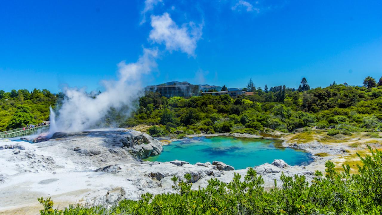 Rotorua Geyser and Mud Pools