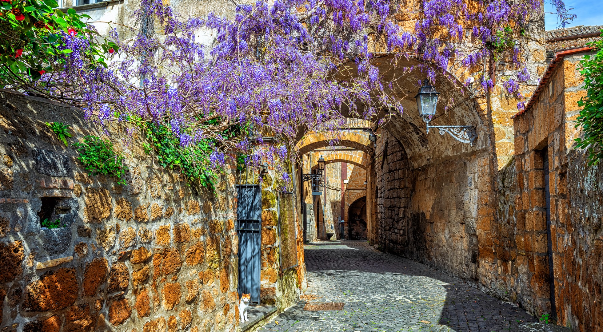 Narrow,Street,In,Historical,Old,Town,Of,Orvieto,,Umbria,,Italy,