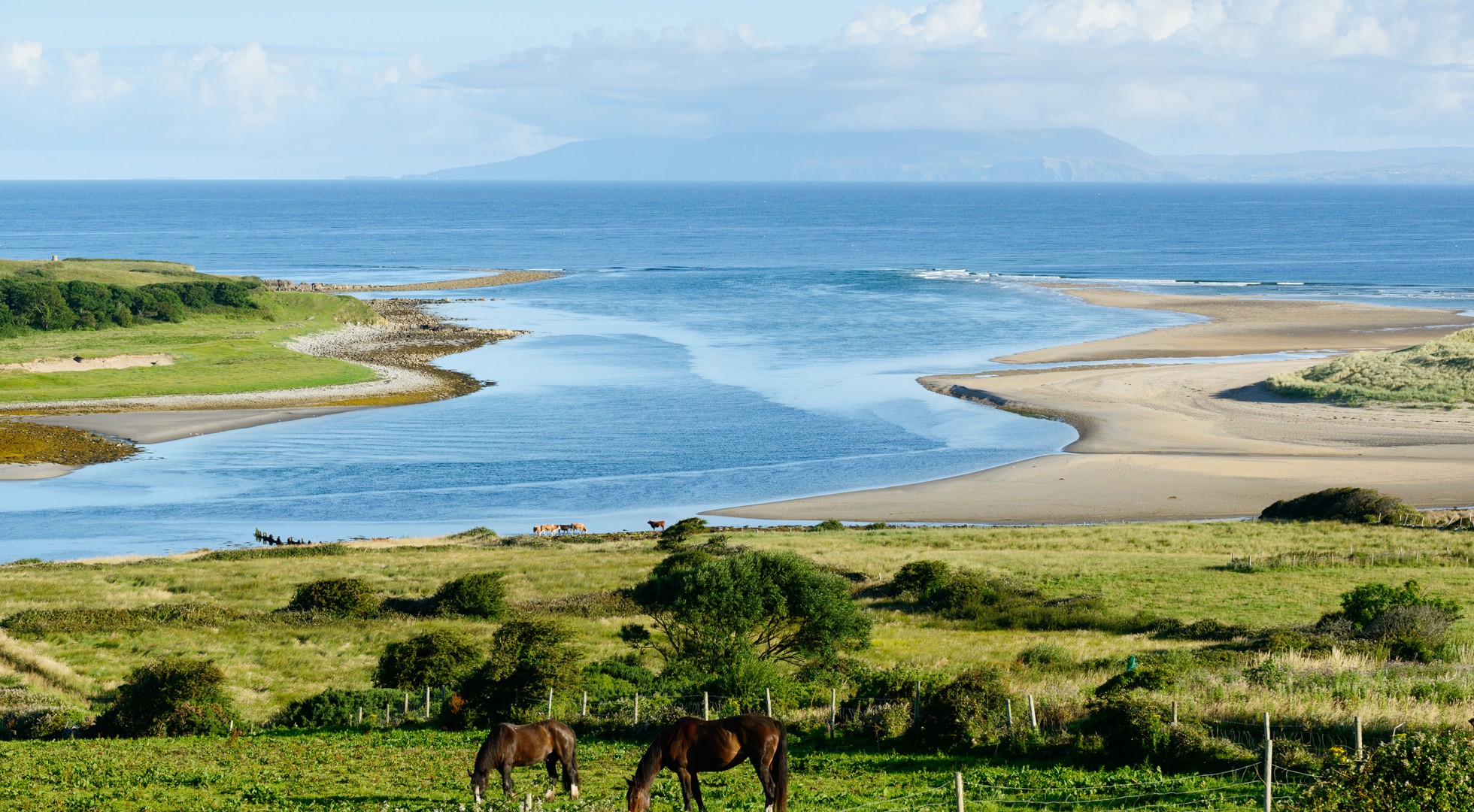 Beautiful,Landscape,With,Horses,In,County,Sligo,,Ireland