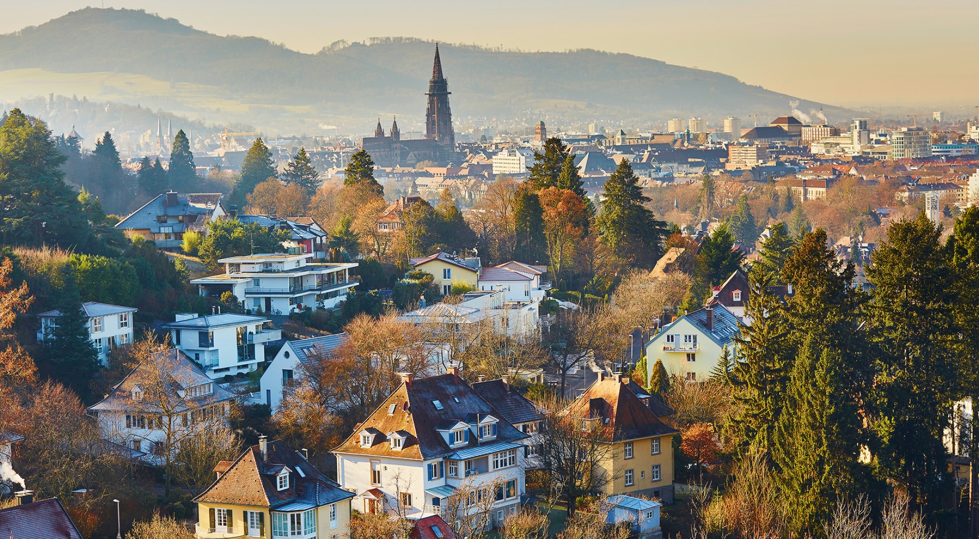 Beautiful,Panorama,Of,Freiburg,Im,Breisgau,In,Germany