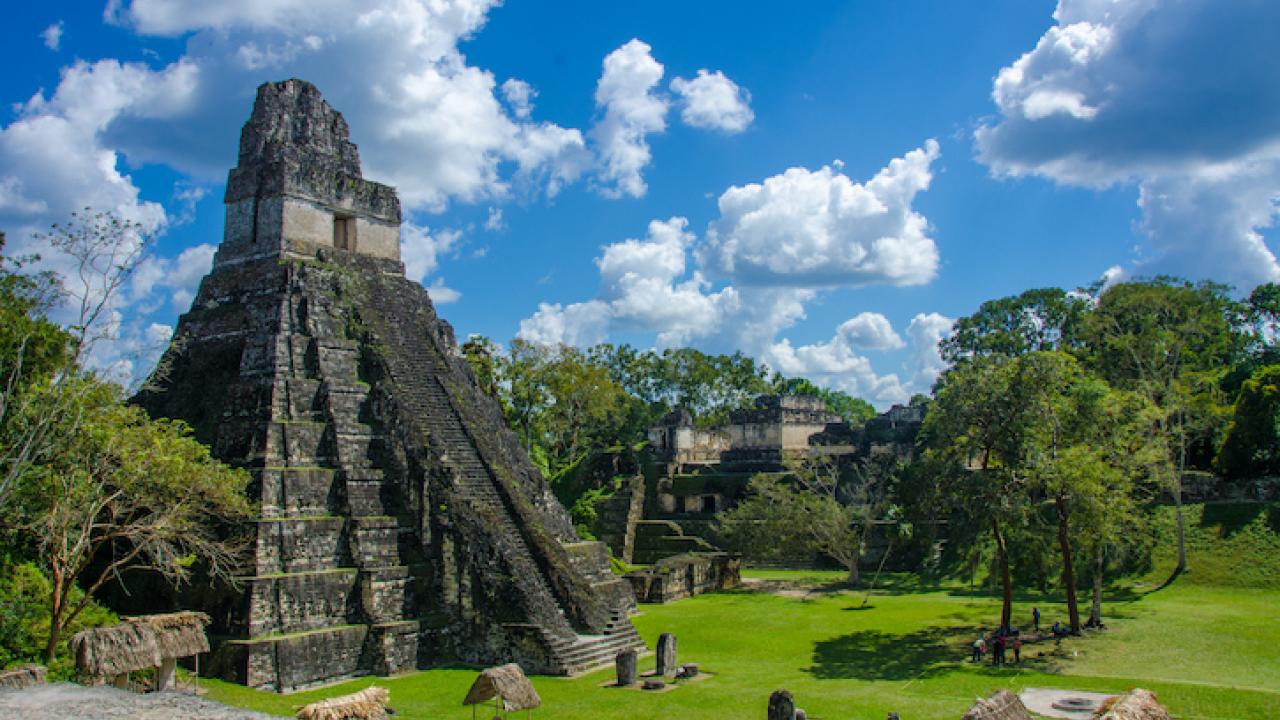 Tikal  Ruins and pyramids