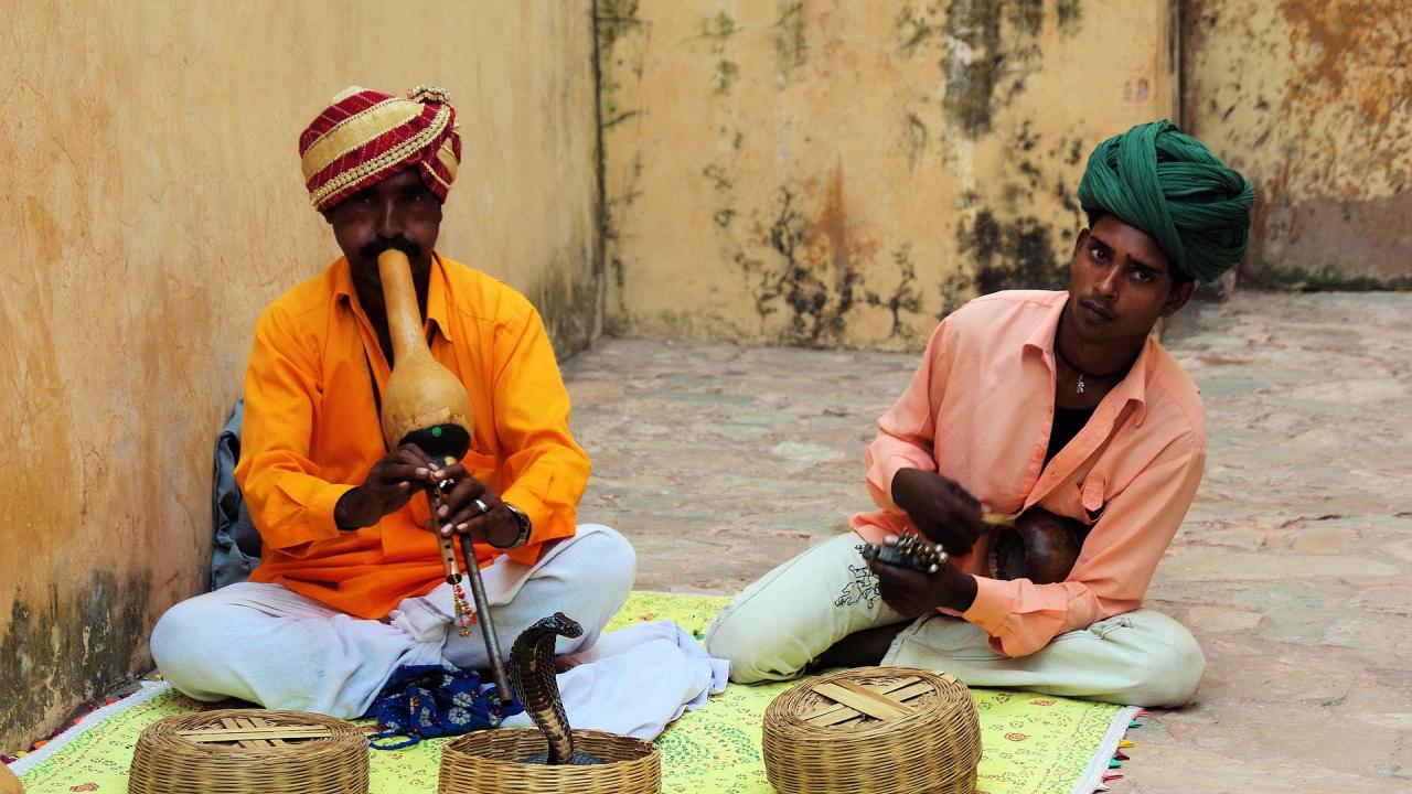 bartelings-india-jaipur-snake-charmers