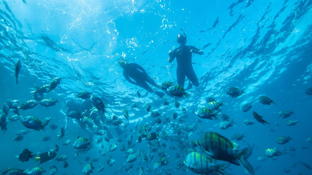 snorkeling