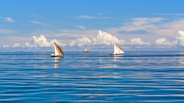 Fishing boats