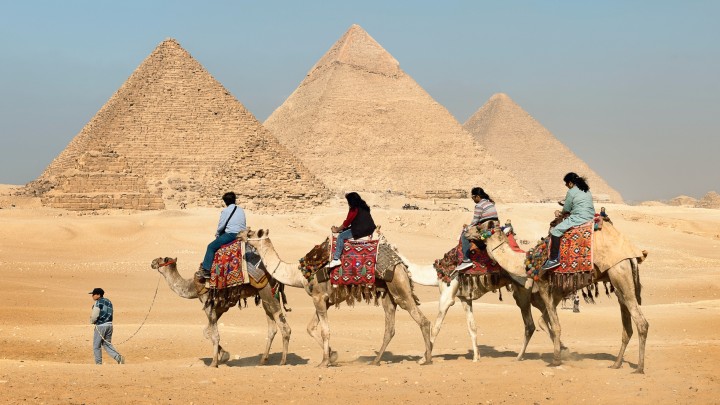 Group camel ride