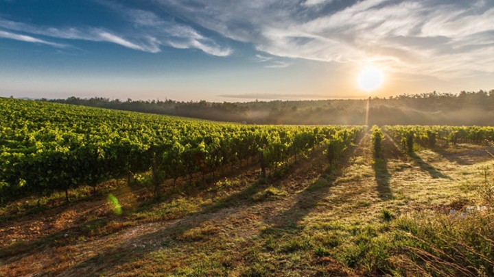 piedmont sunrise